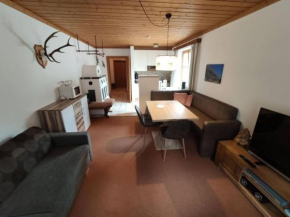 Apartment with mountain view near centre Maria Alm Am Steinernen Meer